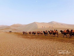 Bukan Fatamorgana! Ini Benar-benar Mata Air di Tengah Gurun