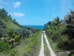 Bukan Hanya Gua, Pacitan Juga Punya 2 Pantai Unik