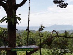 Bukan Kalibiru, Ini Tahura Wan Abdul Rachman di Lampung