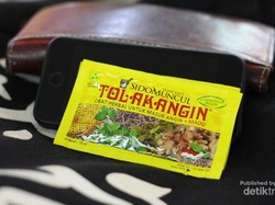 Bukan Sakura, Ini Kebun Shibazakura