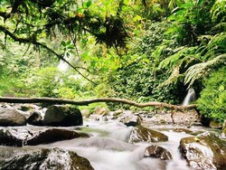 Bukan Sawer Biasa di Sukabumi