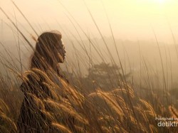 Bukit Cantik di Bogor Buat Foto-foto