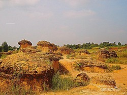 Bukit Jamur, Tempat Selfie Paling Keren di Gresik