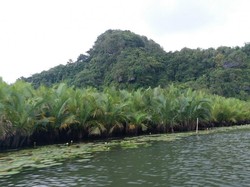 Bukit Karst Terbesar Ketiga Sedunia di Sulawesi, Cantik Kan?