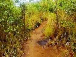 Bukit Pala, Spot Cantik Tersembunyi di Ujung Barat Pulau Bangka