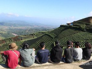 Bukit Panyaweuyan Nan Instagramable di Majalengka