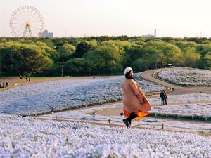 Bukit Penuh Bunga Instagenic di Jepang: Hitachi Seaside Park