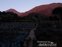 Bumi Perkemahan Ramah Anak Dekat dengan Jakarta