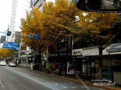 Busan, Kota yang Paling Berkesan di Korea Selatan