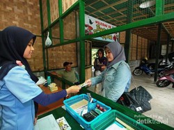 Butterfly Park, Alternatif Wisata Dekat Candi Borobudur