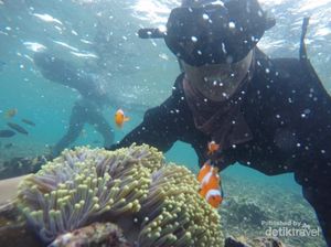 Butuh Vitamin Sea? Nih Cantiknya Pahawang