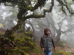 Cagar Alam yang Menakjubkan dari NTT