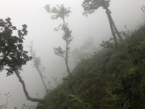 Cakep! Mendaki Rinjani Lewat Jalur Aik Berik