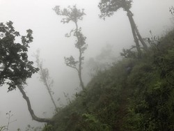Cakep! Mendaki Rinjani Lewat Jalur Aik Berik