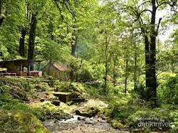 Cantik dan Segarnya Air Terjun Kakek Bodo di Pasuruan