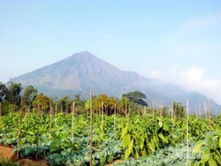Cantik Eksotik dari Semarang & Magelang, Gunung Telomoyo