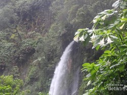 Cantik! Ini Air Terjun Gunung Gede Pangrango