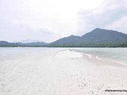 Cantiknya Alam Bawah Laut di Selatan Lampung