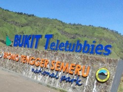 Cantiknya Bukit Teletubbies Bromo Bikin Rindu