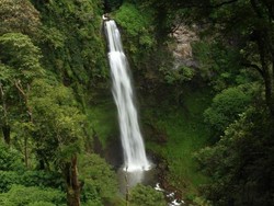 Cantiknya Curug Tertinggi di Jawa Barat
