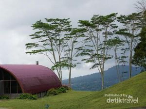Cantiknya Tomohon, Kota Festival Bunga yang Ikonik