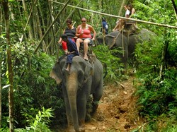 Cara Berkeliling Asyik di Bali? Coba Naik Gajah!