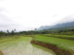 Celebes Canyon, Calon Primadona Baru di Sulsel