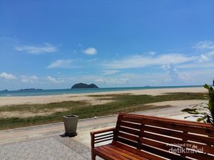 Cerita Keserakahan Tikus dan Kucing dari Sebuah Pantai di Thailand