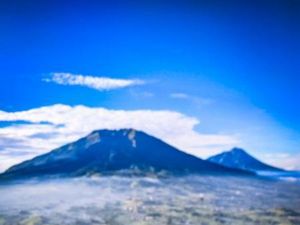 Cerita Pendakian Gunung Merbabu dari Jalur Wekas