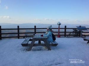 Cerita Solo Travelling di Korea Selatan