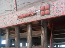 Cicak, Simbol Unik Suku Batak untuk Bertahan Hidup