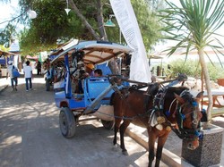 Cidomo, Kereta Kuda Ala Lombok