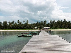 Cinta Pandangan Pertama dengan Pulau Pongok