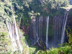 Coban Sewu yang Bagai Tirai Raksasa