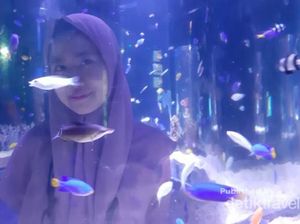 Cuma di Jakarta, Ada Akuarium Cantik Tapi di Dalam Mal
