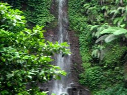 Curug Nangka dan Curug Luhur, Pesona Alami dari Bogor