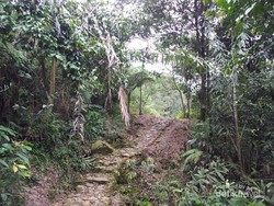 Curug Seribu di Bogor, Kental dengan Nuansa Mistis