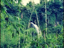 Curug Silawe, Air Terjun Tersembunyi nan Cantik di Magelang