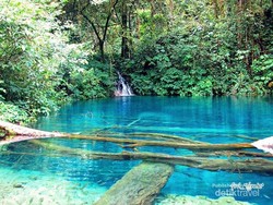 Danau Ajaib Sebening Kaca & Kelabang Raksasa di Jambi