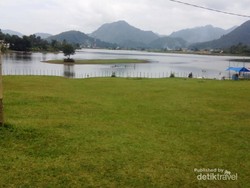Danau di Sumbar yang Bisa Berubah Jadi Padang Rumput