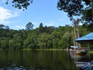 Danau Indah Nan Syahdu di Kutai Barat