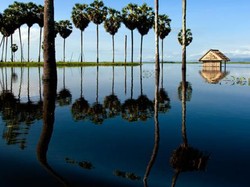 Danau Tempe, Penghasil Ikan Air Tawar Terbesar di Dunia
