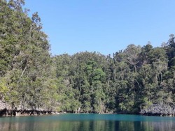 Danau Tobelo, Keindahan Tersembunyi di Pulau Labengki
