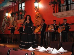 Dari Telenovela, Tortilla, Hingga Mariachi di Mexico City