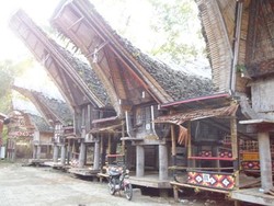 Dekat dengan Kematian di Tana Toraja