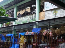 Dekorasi Pernikahan Murah, Pasar Rawa Belong Jawabannya!