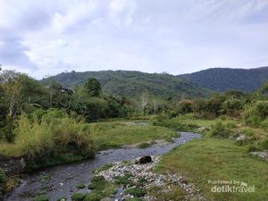 Desa Bersuhu Dingin di Aceh Ini Hasilkan Kopi Mantap