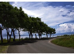 Desa Magepanda di Flores, Bikin Jatuh Cinta dengan Indonesia