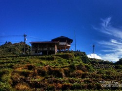Desa Tieng di Wonosobo yang Indah dan Penuh Kenangan
