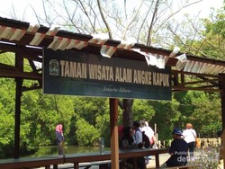 Destinasi Sejuk nan Damai di Jakarta